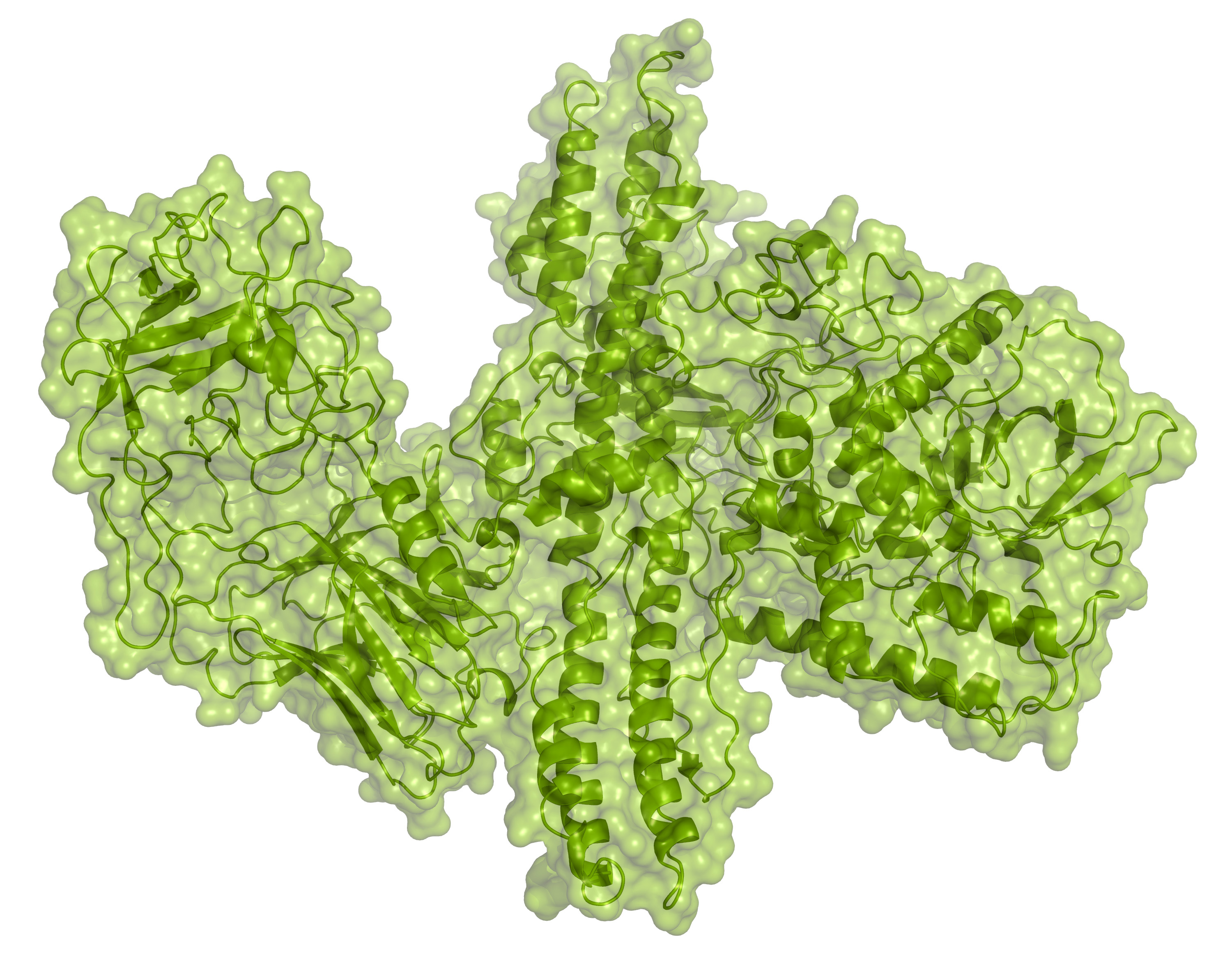 Onabotulineurotoxin A, the active neurotoxin in Botox® molecular rendering
