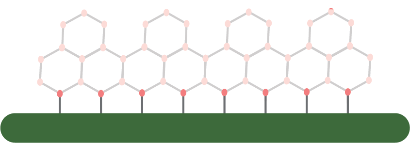 Bacterial INP (green) positions water molecules (pink circles) at the right spacing to form the first row of an ice lattice (faded pink circles and gray lines).