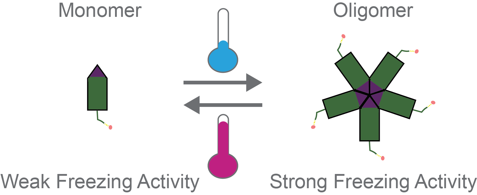 Hypothetical engineered INP with temperature sensitive oligomerizing element