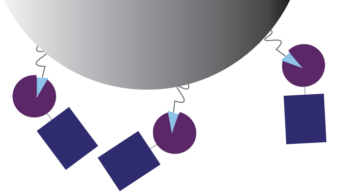 illustration of binding capacity with smaller fusion proteins with GST tags
