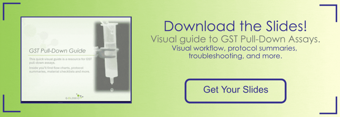 Banner for GST Pull-Down Assay Guide Slide Deck Download with Gif of slide presentation