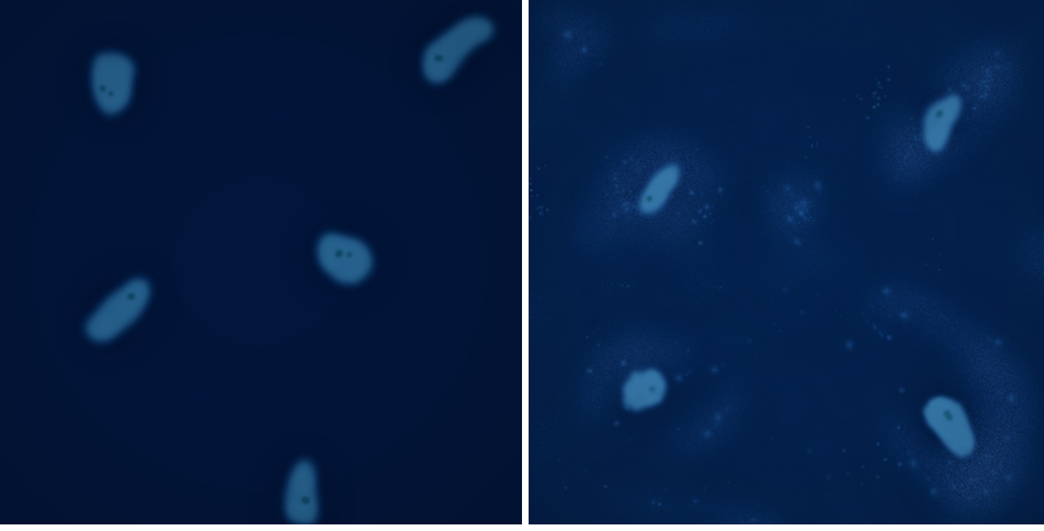 mycoplasma contamination in cell culture