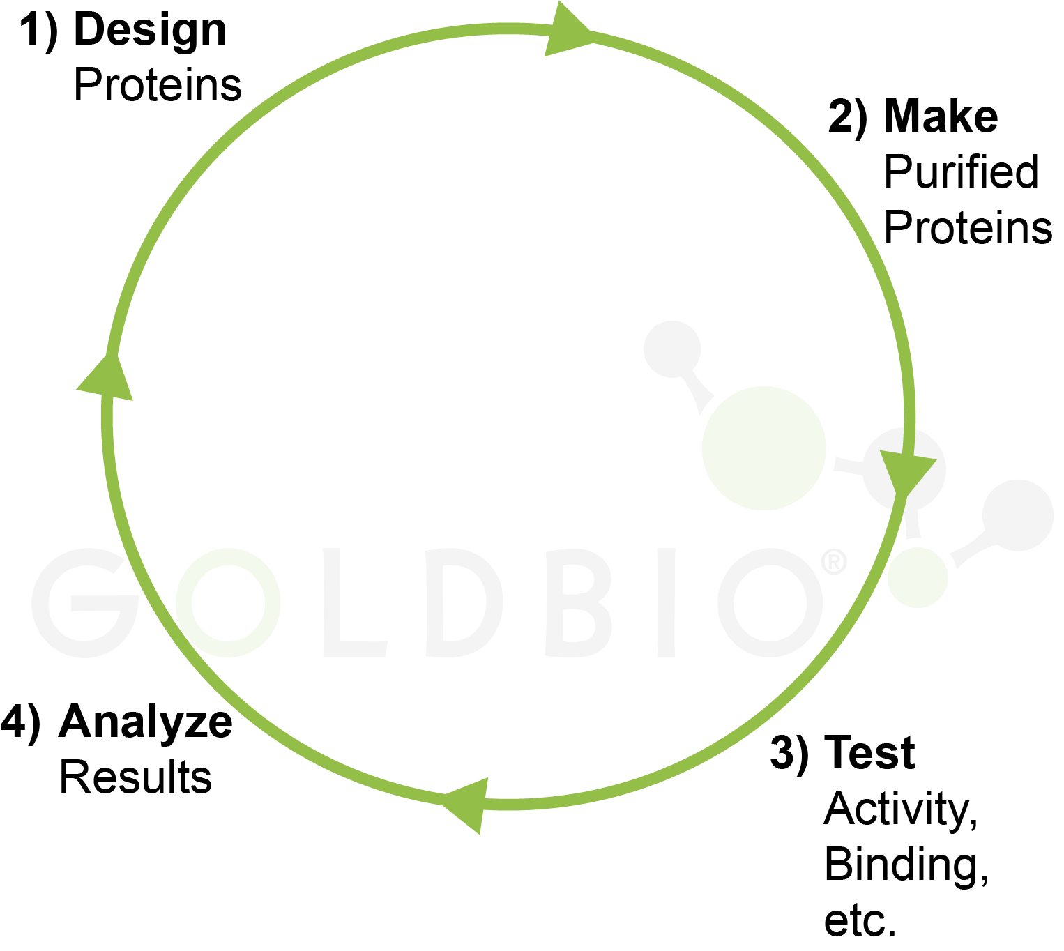 Design, make, test, analyze cycle in biomedical research.