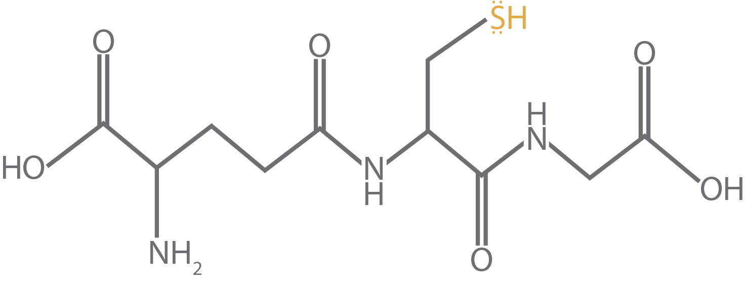 glutathione molecular structure with free electrons shown as dots over the sulfur