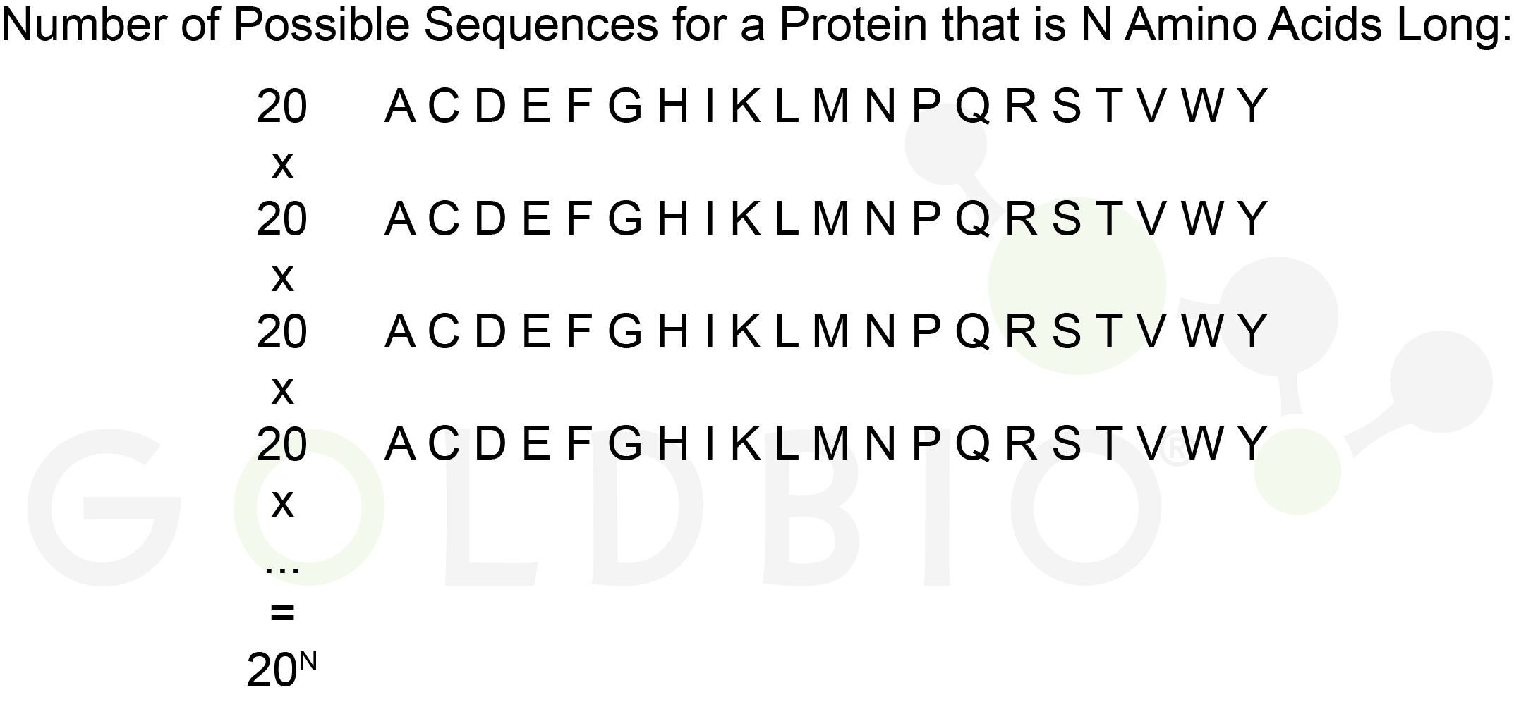 Combination of amino acids to form proteins