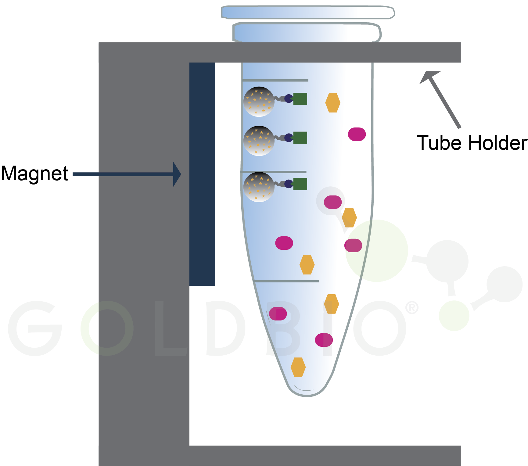 Illustration of tube with magnetc beads for protein purification