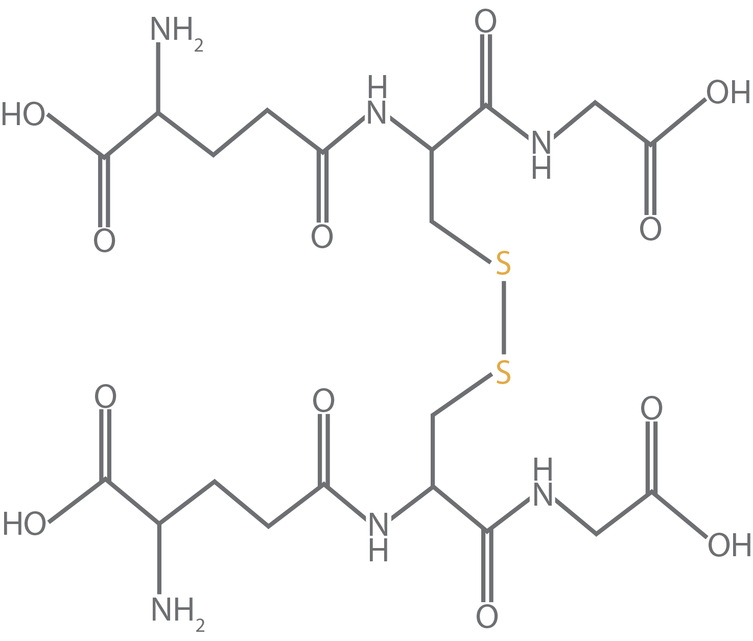 Oxidized glutathione bound to another glutathione molecule