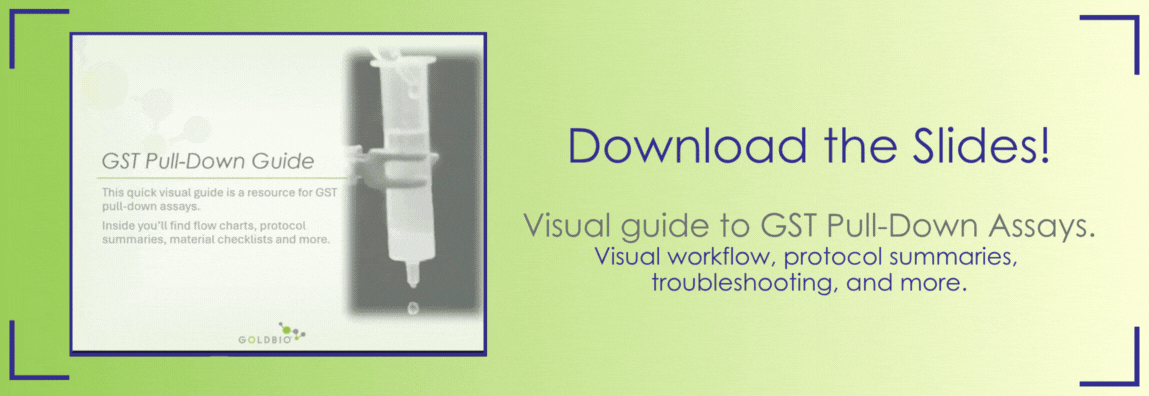 Banner for GST Pull-Down Assay Guide Slide Deck Download with Gif of slide presentation