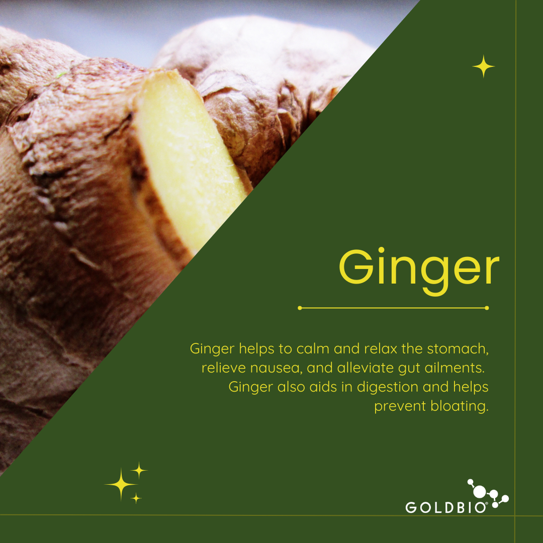 Ginger