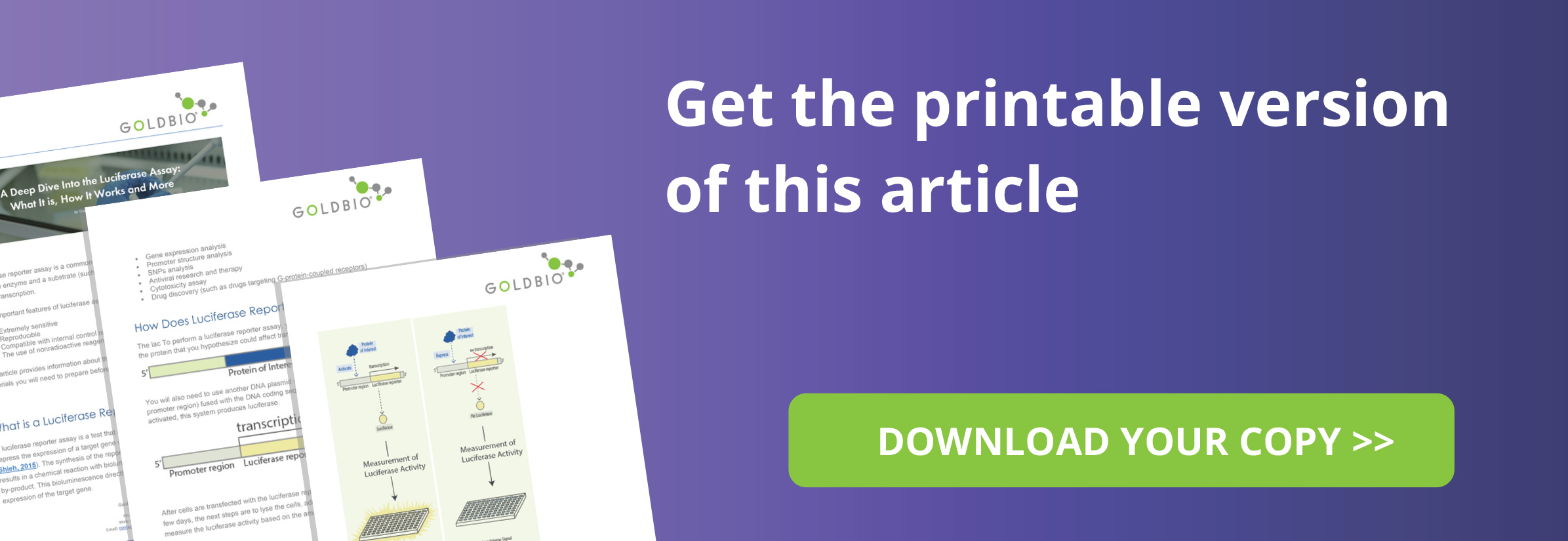 Illustrative guide to how the luciferase assay works - free downloadable article