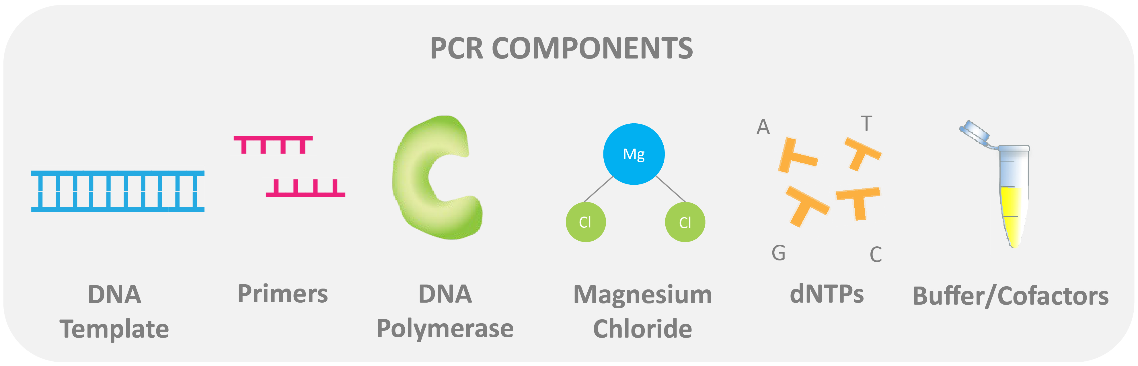 Overview About How To Do RT-qPCR GoldBio