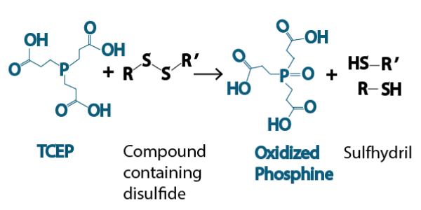 TCEP Reaction
